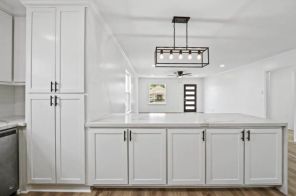 Kitchen Remodeling in Spring, TX (1)